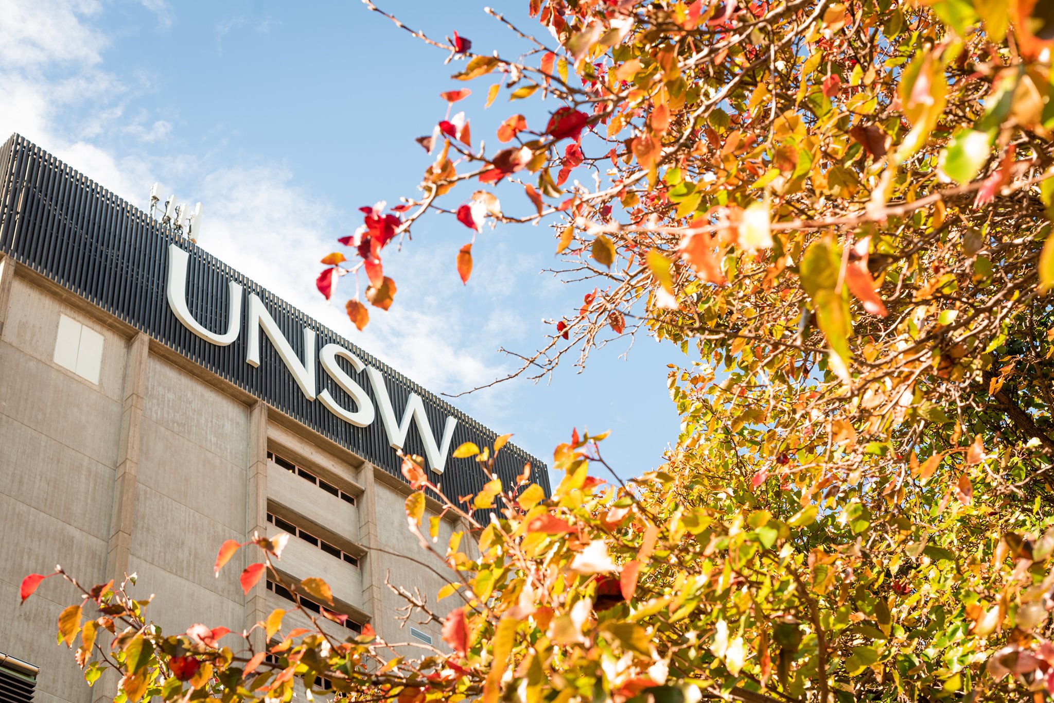 $549,000 Grant Awarded for ‘Cardiac AI: deep learning to predict and prevent secondary cardiovascular events’ Project at UNSW
