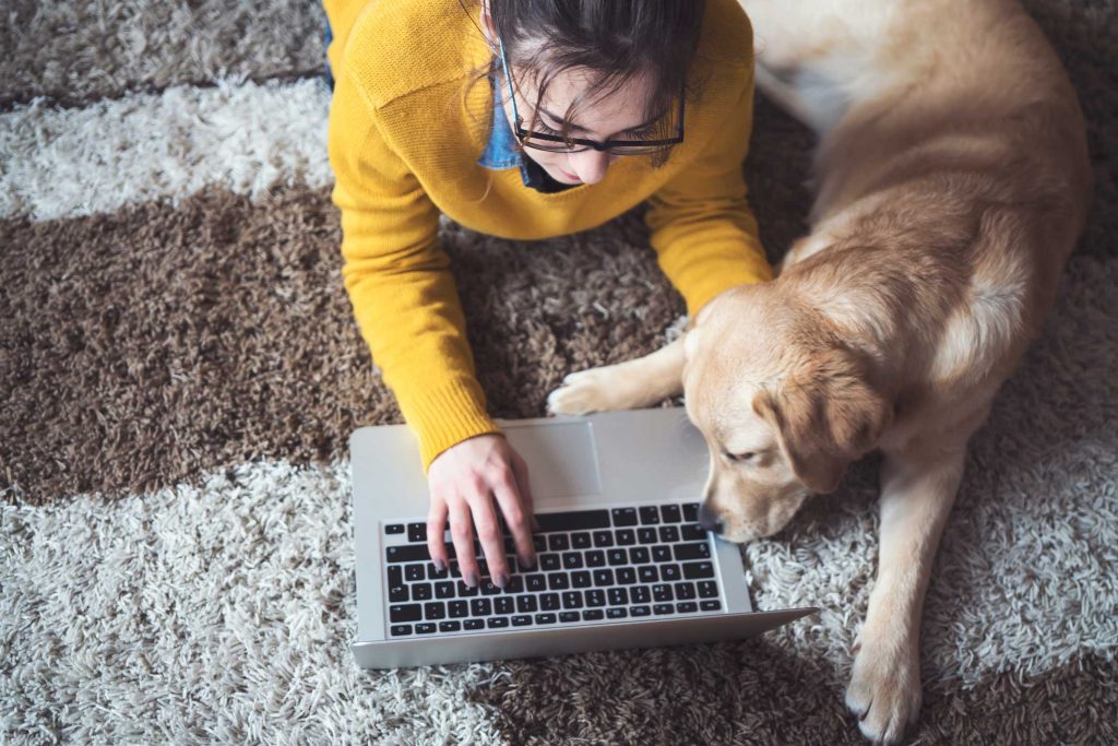 Person searching laptop with labrador by their side